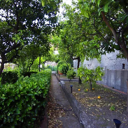 Alessandra * Виетри