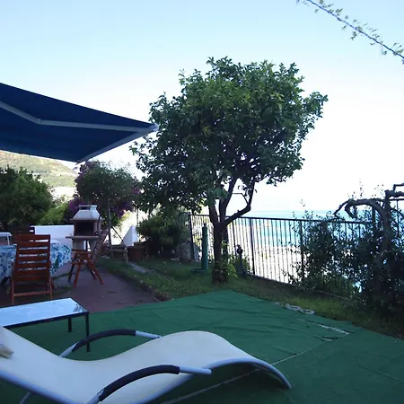 Alessandra Виетри